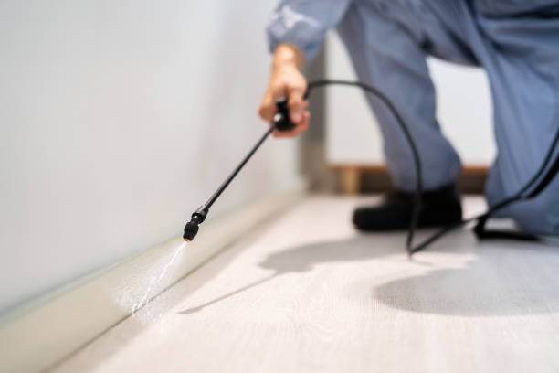 Licensed Pest Control service in Mather, CA - Show Me Pest Control