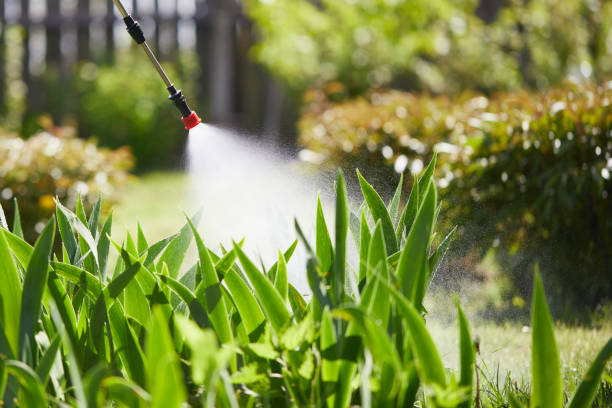 24/7 Emergency Ant Control experts in Mather, CA